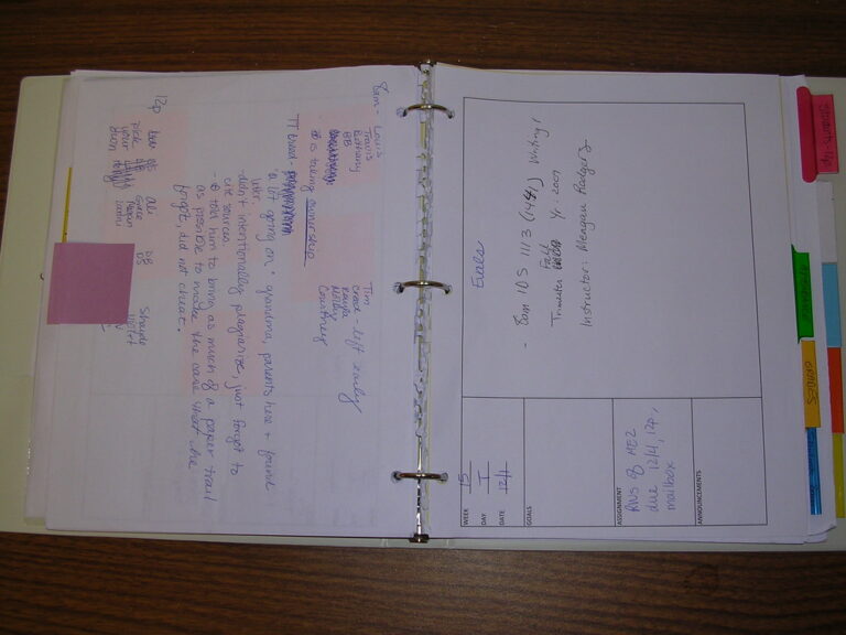 daily plan